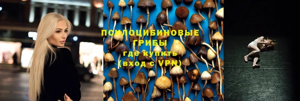 PSILOCYBIN Арсеньев